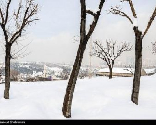 سرمای هوا در استان گلستان/ افزایش مصرف گاز و قطع گاز سی‌ان‌جی‌